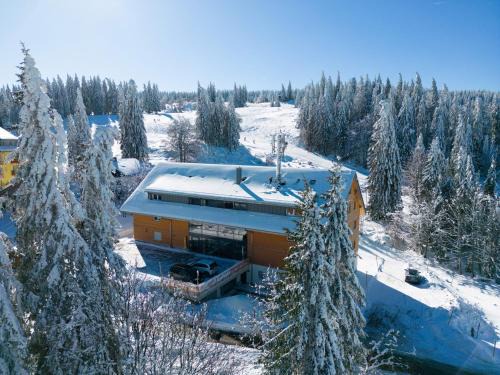 Feldberg Apartamento | Wiesenquell Apartment Feldberg