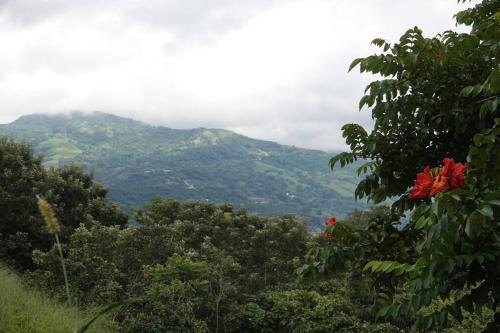 Guachipelin Apartamento | WIFI AC parking Serene, Relaxation in Escazu