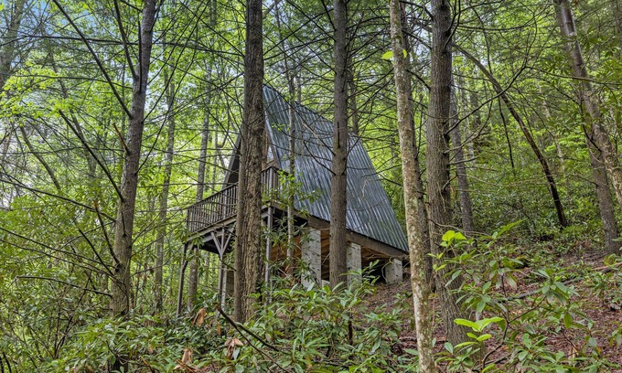 Pine Ridge Cabina | WiFi & Adventure - Fern Grove - Camping Cabin Retreat in Red River Gorge, Kentucky!