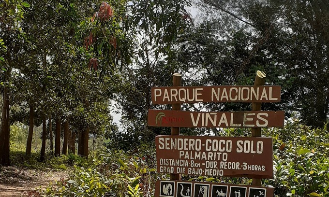 Vinales Casa | Wilber House 4 Hours Free Horse Tour Included