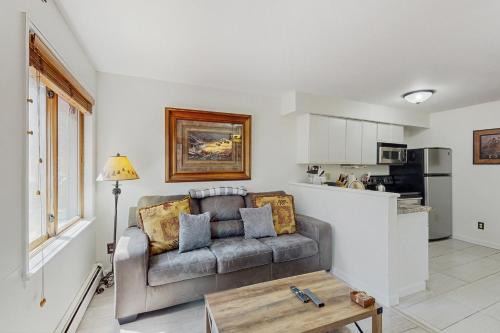 Breckenridge Apartamento | Wild and Free Condo 102