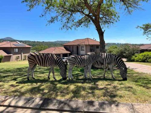 Nelspruit Casa | Wild Antelope on your doorstep!