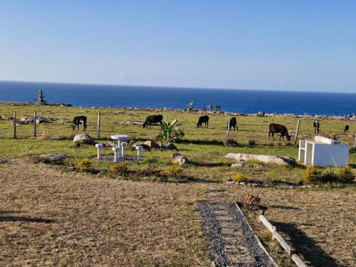 Ngquza Hill Casa | Wild Coast Grosvenor Holiday Home