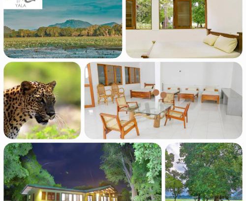 Tissamaharama Otro | Wild Earth Ceylon Leisure - Yala