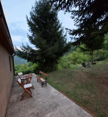 Pluzine Apartamento | Wild Tara