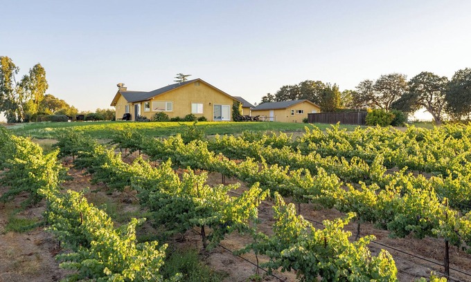 Paso Robles Casa | Wild Vines - Amazing Vineyard Views