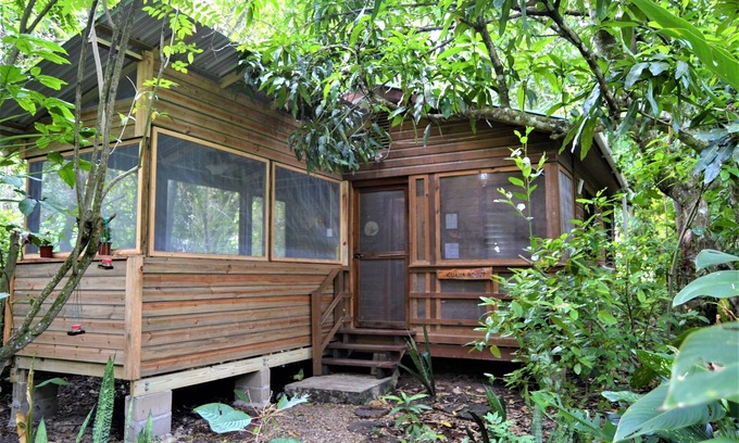 San Ignacio Casa | Wild & Wonderful Family-friendly 'jungle Like' Oasis in San Ignacio Belize