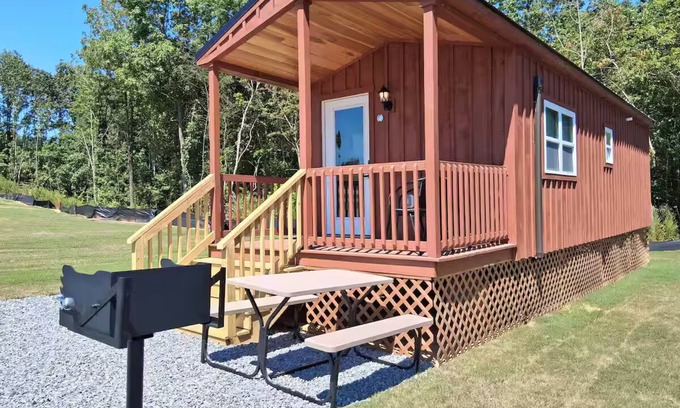 Kings Mountain Cabina | Wildfire 2