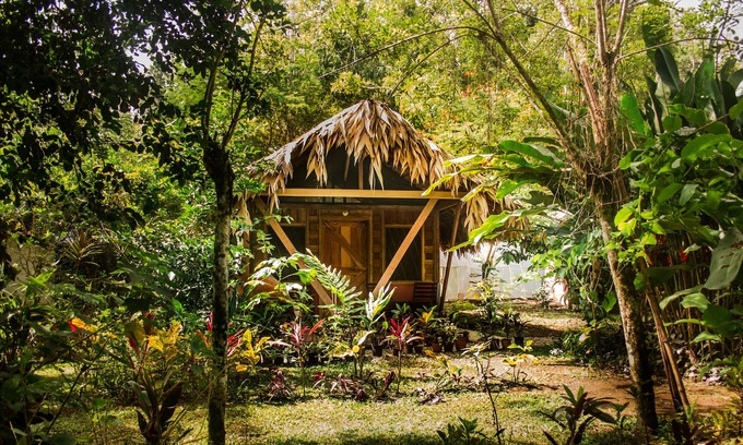 Cahuita Cabina | Wildlife Lodge Cahuita