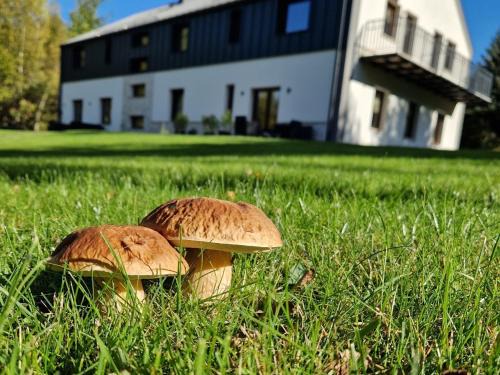 Kudowa Zdroj Casa | Willa Na Pstrążnicy