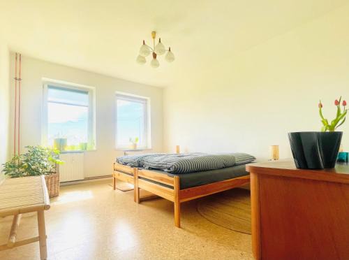 Zettemin Apartamento | "Willkommen im Zetthaus" Welcome! Witamy! Vitejte! - Familienfreundliche Ferienwohnungen in der Mecklenburger Seenplatte