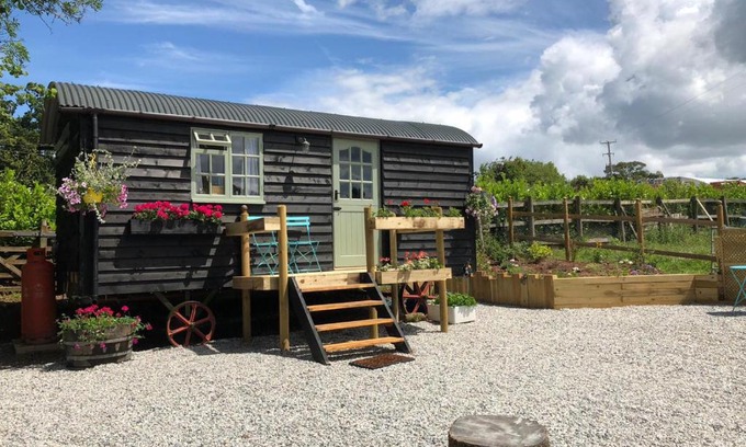 Sidmouth Otro | Willow Brook Shepherd Hut