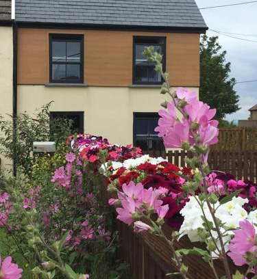 Oldwalls Casa | Willow Mews