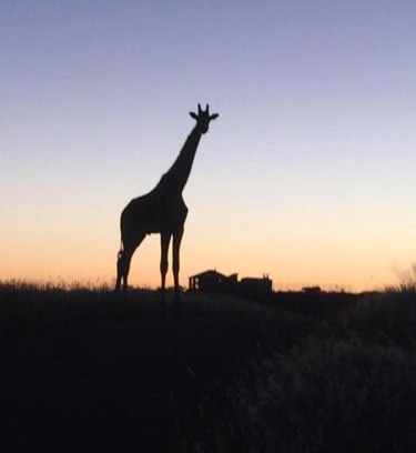 Voigtland Casa | Windhoek Rural Self Catering