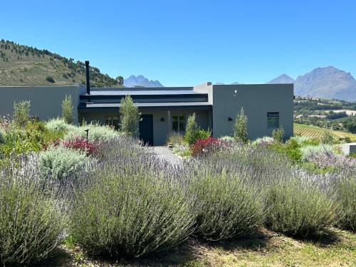 Stellenbosch Casa | Windon vineyard farmhouse