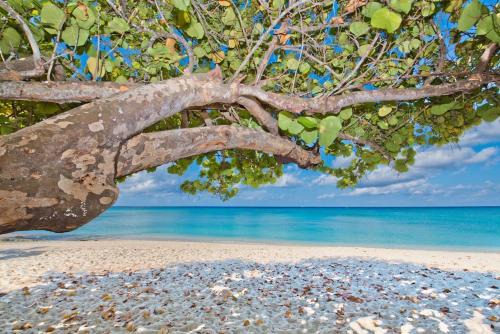West Bay Apartamento | Windsong #2 Beautiful Boggy Sand Beach, Smb
