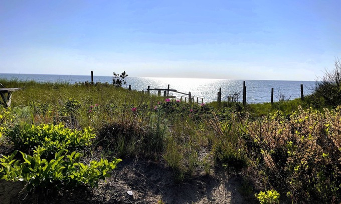 Campground Landing Cabaña | Windswept on Campground Beach