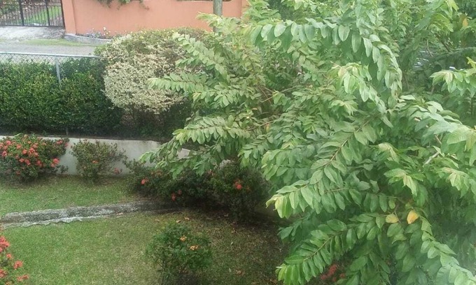 Bonne Terre Apartamento | Windy2Baywalk