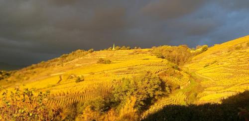 Chavanay Casa | Wine Passion Panoramic