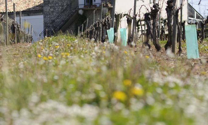 Margueron Casa | Enoturismo en el corazón de Burdeos