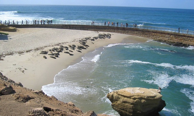 Solana Beach Complejo | Winners Circle Resort