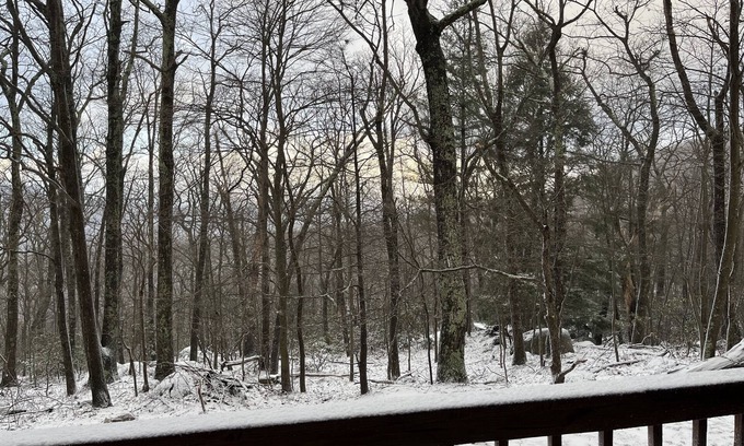 Wintergreen Condominio | Wintergreen 1bed Condo, Walk to slopes, close to Hiking, Breweries, Wineries