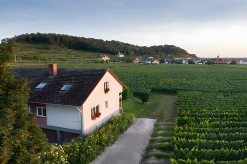 Oberrotweil Apartamento | Winzerhof Henkenberg