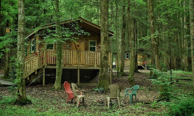 Ellijay Cabina | With a king sized bed BEAR'S LAIR gives comfort of home plus an outdoorsy vibe!