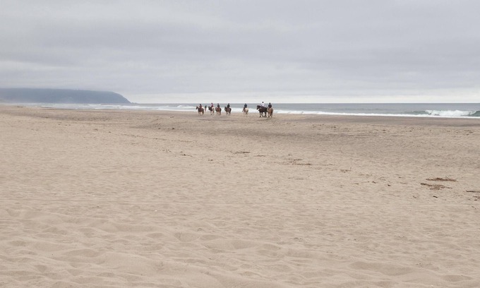 Pacific City Casa | With Salt, Please