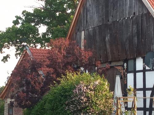 Detmold Apartamento | Wohlfühlwohnung im Grünen auf Pferdehof