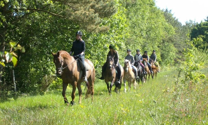 Holtgast Apartamento | Wohnung 5 auf dem Ferienhof Eilts -viele Ponys und Sonstige Tiere in Nordseenähe