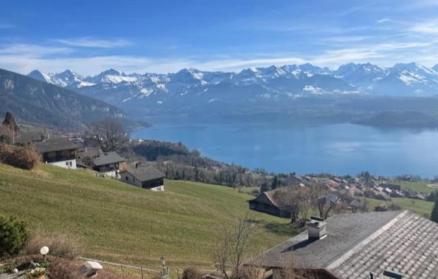 Aeschlen ob Gunten Apartamento | Wohnung