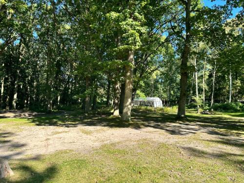 Dranske Otro | WoMo Stellplatz am Ferienpark Bernstein