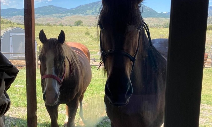 Pray Casa | Wonderful Montana experience with great views and horses! Yellowstone 25mi