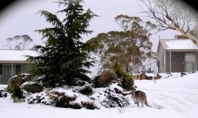 Jindabyne Cabaña | Woodbury Park Jindabyne