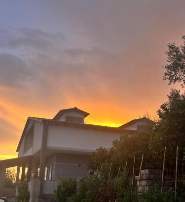 Delvine Casa | Wooden Guest House