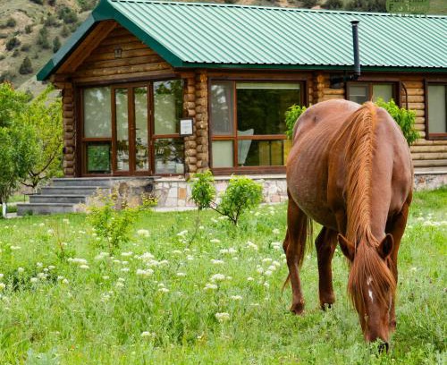 Urtsadzor Casa | Wooden House in WildLife Refuge