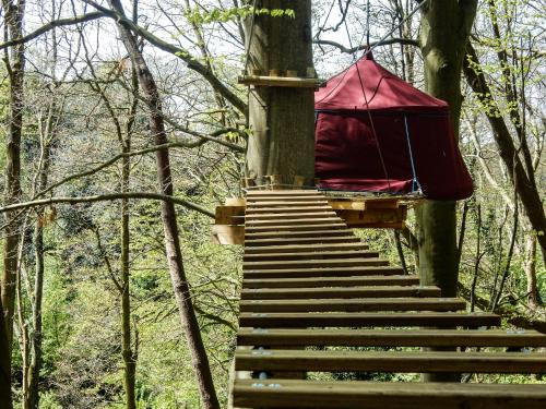 Fecamp Otro | Woody Park