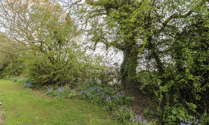 Morpeth Cabaña | Wren Cottage