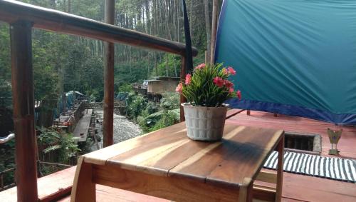 Pangalengan Otro | wulandari reverside camping ground pinus singkur