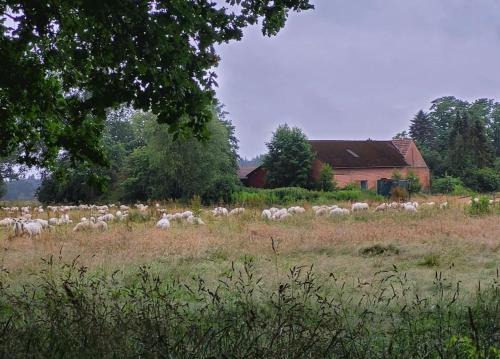 Rotenburg Apartamento | Wunschhof the dreaming farmhouse