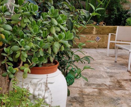 Trepuzzi Casa | Xenia Boutique Apartment