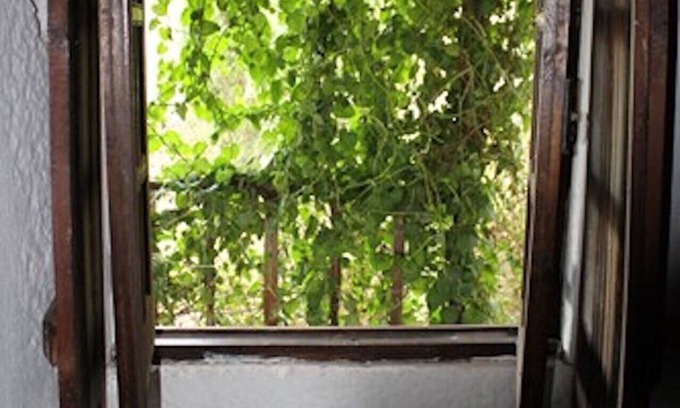 Ansiao Cabaña | XVIIIc. Casa rural en pueblo en la colina / Casa da Aldeia del siglo XVIII, serra.