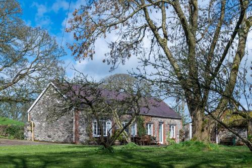 Bontnewydd Casa | Y Berllan