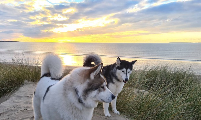 Harlech Hotel | Y Branwen Hotel - Adults Only and Dog Friendly
