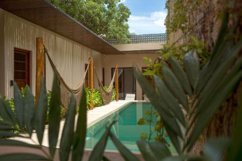 Centro Hotel | Ya'ax Hotel Boutique