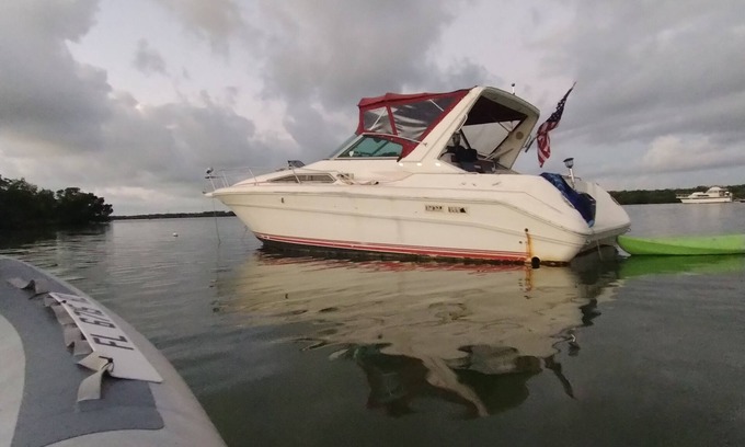Key Largo Alquiler De Eote | YATE 32 '~ ¡¡KAYAK Y SUP GRATIS!