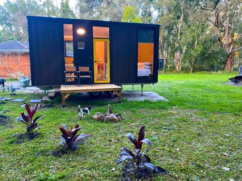 Stuarts Point Casa | Yarriabinni Escape 1 by Tiny Away