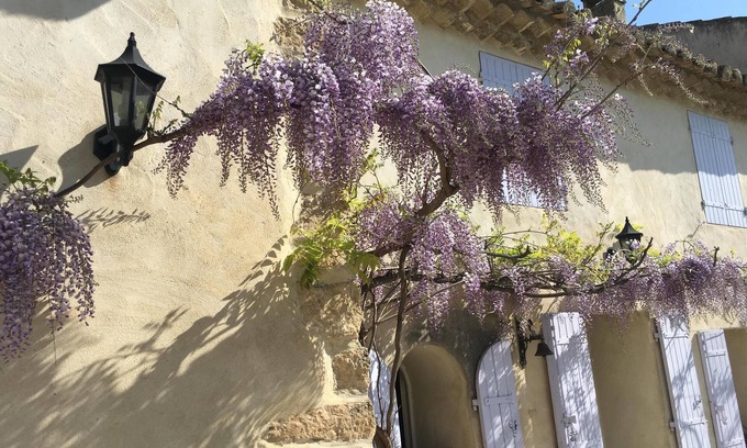 Mallemort Cabaña | Casa amarilla en la Provenza