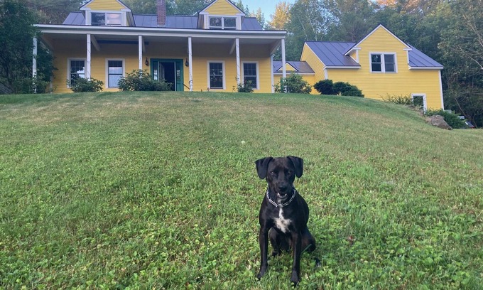 West Woodstock Casa | Yellow House on the Hill, 21 Acres, Views, Woodstock Getaway, Dog-friendly